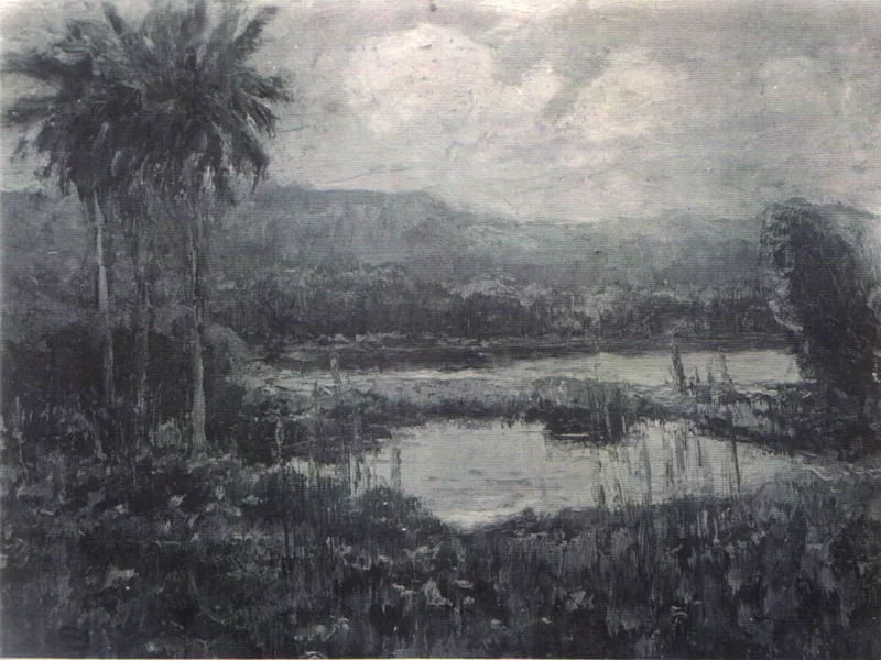 s.t. (palude tropicale)