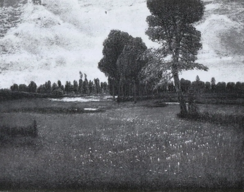Fioritura di colchici