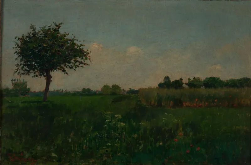 Campagna canavesana
