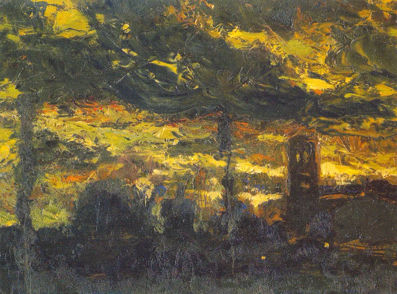 Notturno a Mondovì – 90 da catal.