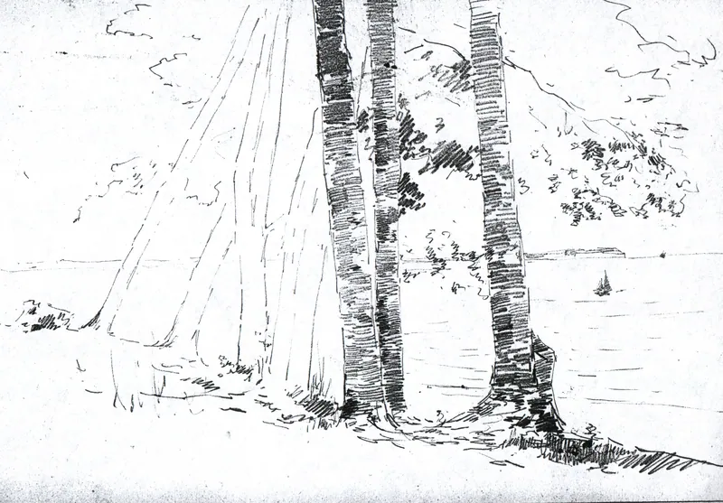 Studio di alberi